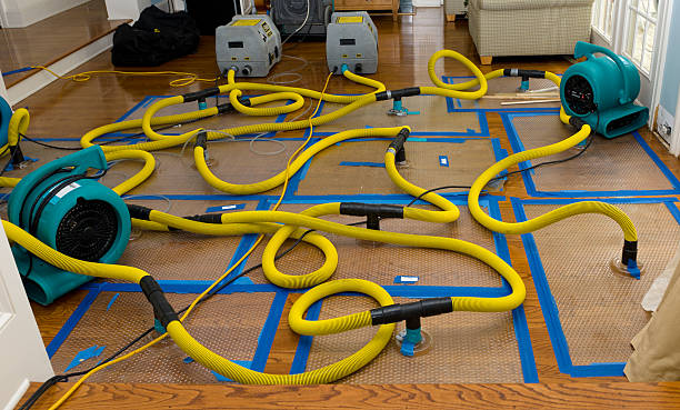 Professional Sewage Cleanup technician working in Crystal Beach, FL